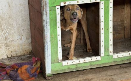 Pamella - verunsicherte Seele sucht Sicherheit und Liebe