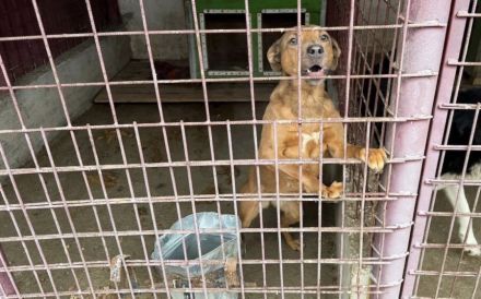 Pamella - verunsicherte Seele sucht Sicherheit und Liebe