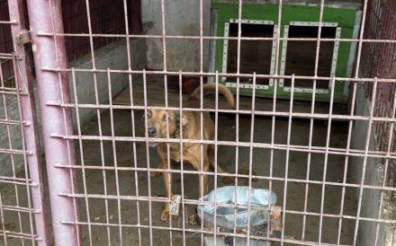 Pamella - verunsicherte Seele sucht Sicherheit und Liebe