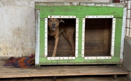 Pamella - verunsicherte Seele sucht Sicherheit und Liebe