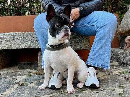 Verschmuster, aktiver POLDI möchte Ihr Herz erobern