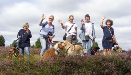 MTCS - Hundeschule, Hundetraining, Pension & Services, Inh. Julia Sieverding