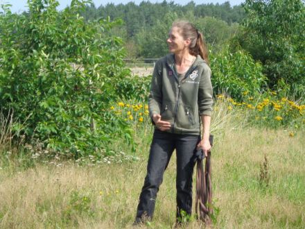 MTCS - Hundeschule, Hundetraining, Pension & Services, Inh. Julia Sieverding