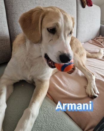 Armani, 07/25 - wartet in 81541 München