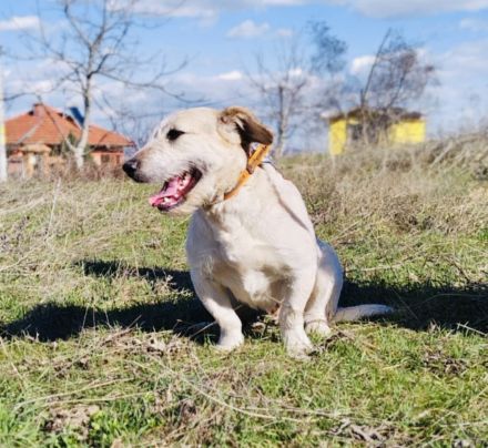 Irma ein super liebes Mädchen