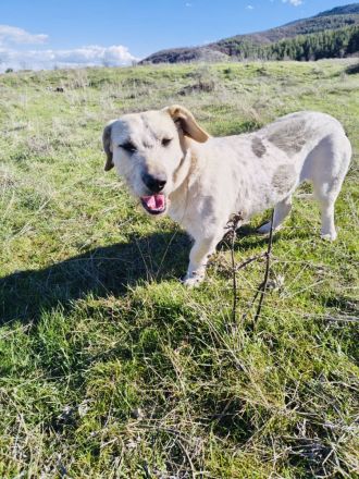 Irma ein super liebes Mädchen