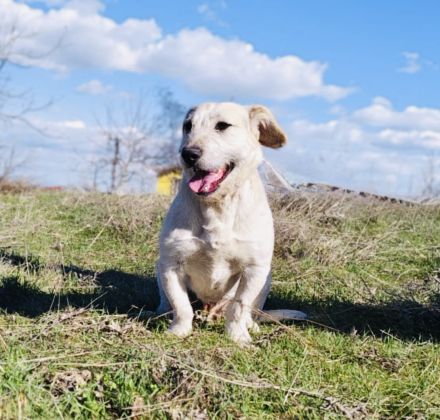 Irma ein super liebes Mädchen