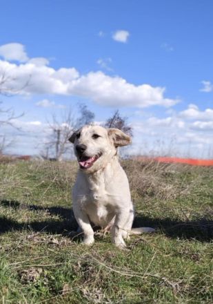 Irma ein super liebes Mädchen
