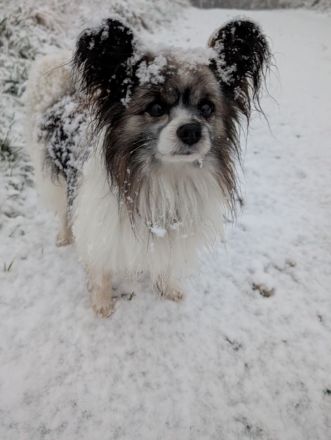 Lennox und Bounty zu vermitteln