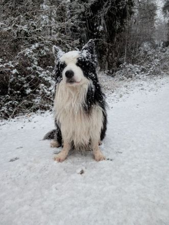 Lennox und Bounty zu vermitteln