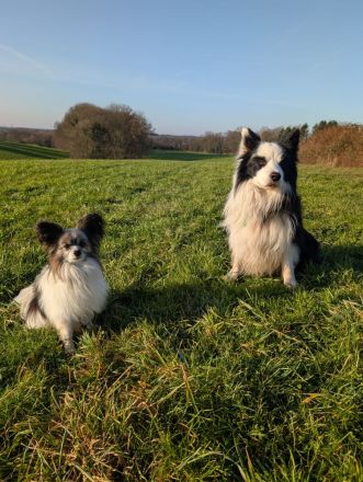 Lennox und Bounty zu vermitteln