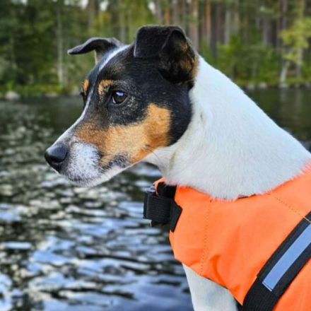 Lumi in 48612 Horstmar sucht ihr Für-immer-Zuhause