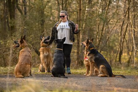 Köter & Kumpanen - Mobile Hundeschule in Hamburg