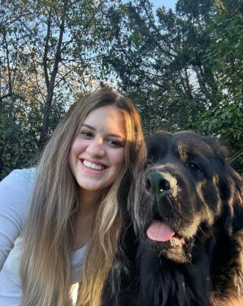 Neufundländer Welpen mit Papiere