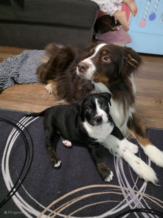 Unsere Jungs dürfen ausziehen