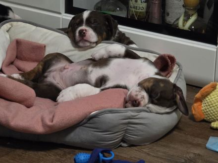 Unsere Jungs dürfen ausziehen