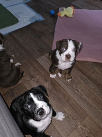 Unsere Jungs dürfen ausziehen