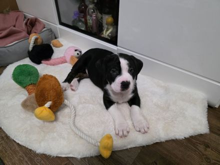 Unsere Jungs dürfen ausziehen