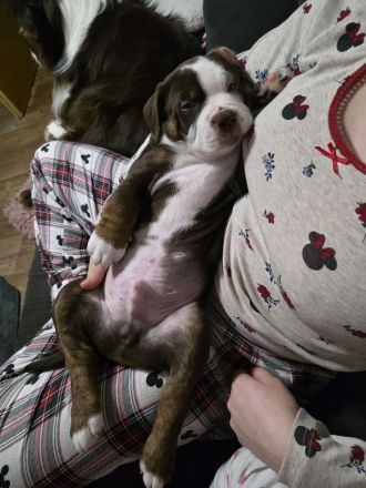 Unsere Jungs dürfen ausziehen