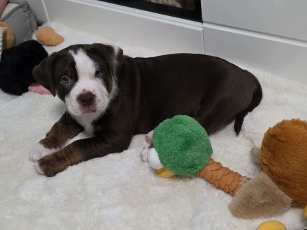 Unsere Jungs dürfen ausziehen