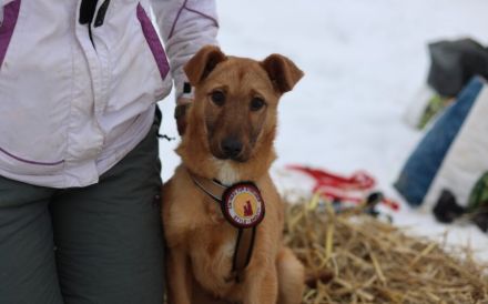 Zuhause gesucht für Tiana