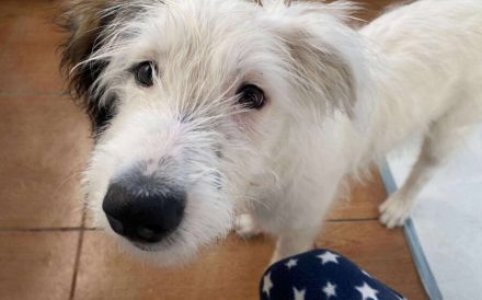 Die süße Dotty wartet auf dich