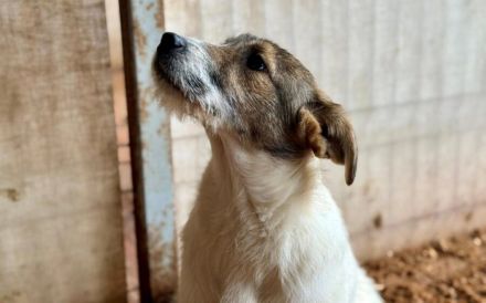 Melly soll nicht im Shelter aufwachsen