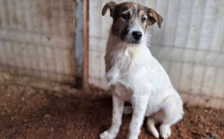 Melly soll nicht im Shelter aufwachsen