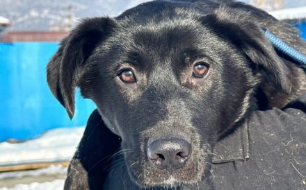 Schwarze Schönheit Eliza