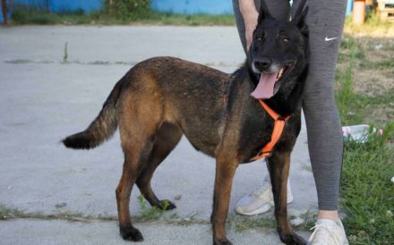 Zuhause gesucht für Tinkerbell