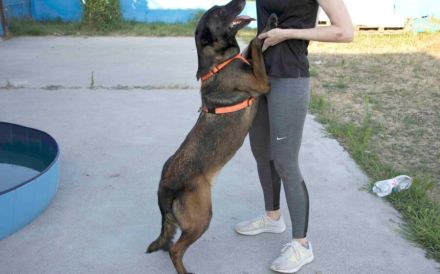 Zuhause gesucht für Tinkerbell