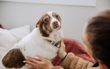 Knutschkugel Milka hat so viel mehr verdient
