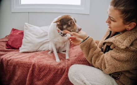 Knutschkugel Milka hat so viel mehr verdient