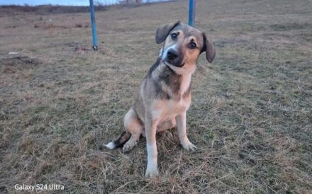 Valerio - gesellig, treu, aktiv und unkompliziert.