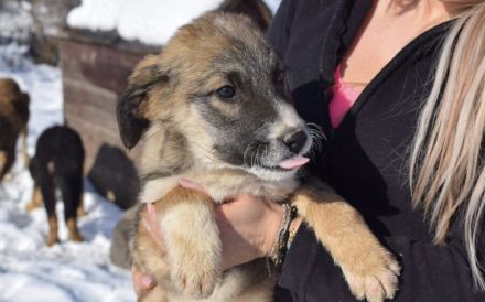 Franklin wartet auf dich!