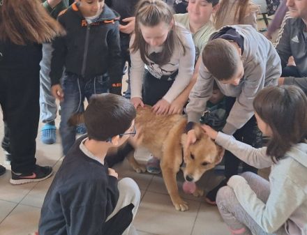 Dömper sucht ein Zuhause!