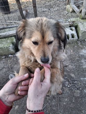 LUNA - von der Kette ins Leben