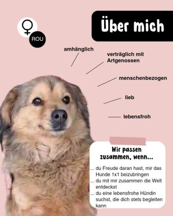 LUNA - von der Kette ins Leben