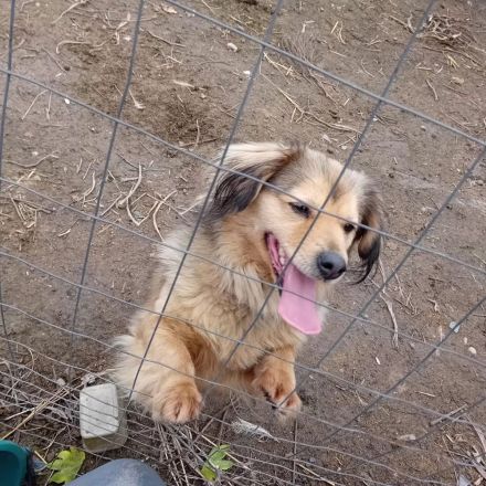 LUNA - von der Kette ins Leben