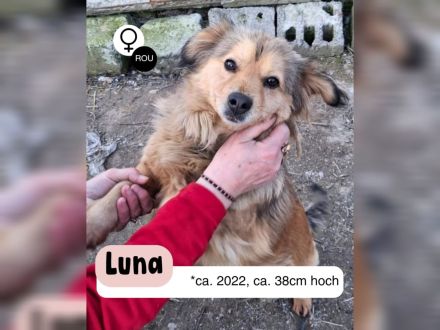 LUNA - von der Kette ins Leben