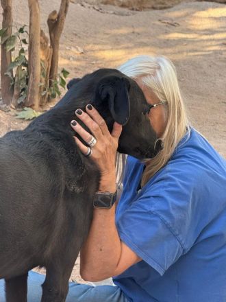 🐾 Kaya – Junghund mit Herz