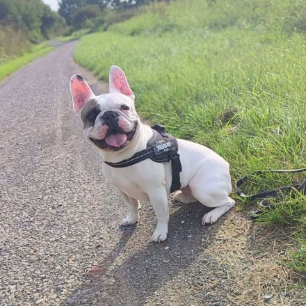 Deejay in 30657 Hannover sucht sein Für-immer-Zuhause