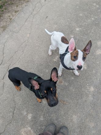 Herzensbrecher sucht Traumzuhause