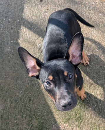 3 Jungs suchen Traumzuhause