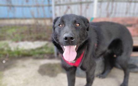 Sonnenschein Kyoko sucht ihre Menschen