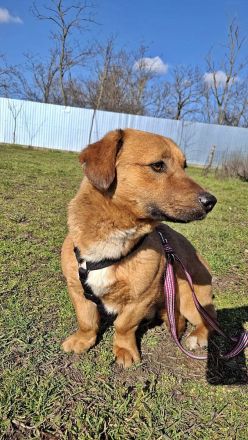 Carlos, freundlich und lieb