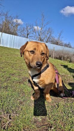 Carlos, freundlich und lieb