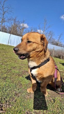 Carlos, freundlich und lieb