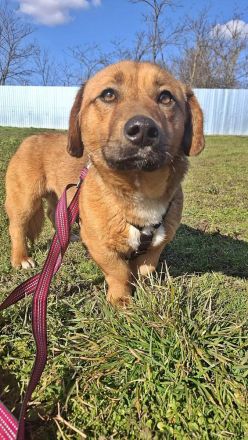 Carlos, freundlich und lieb