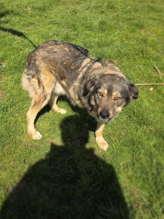 Warum will mich denn keiner ?